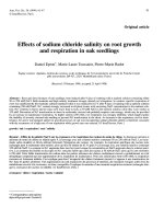 Báo cáo khoa học: 