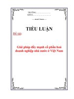 Tiểu luận: Giải pháp đẩy mạnh cổ phần hoá doanh nghiệp nhà nước ở Việt Nam docx