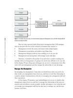 Expert CAD Management The Complete Guide phần 3 ppt