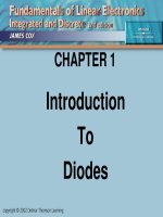 CHAPTER 1 : Introduction To Diodes ppt