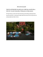 Bể bơi nổi trên mặt hồ ppsx