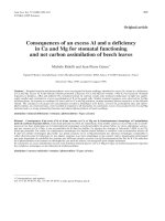 Báo cáo khoa học: 