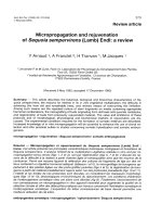 Báo cáo khoa học: 