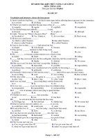 ĐỀ KIỂM TRA KIẾN THỨC NÂNG CAO LỚP 12 MÔN: TIẾNG ANH - MÃ ĐỀ 317 doc