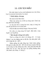 Kỹ thuật trồng, chế biến và sử dụng cây thuốc nam part 3 pptx