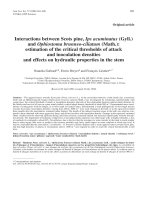 Báo cáo khoa học: 