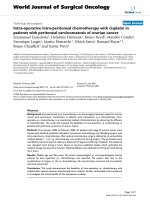 Báo cáo khoa học: 