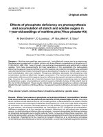 Báo cáo lâm nghiệp: 