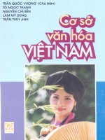Giáo trình cơ sở văn hóa Việt Nam part 1 pdf