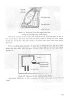Giáo trình quá trình và thiết bị truyền nhiệt part 5 potx