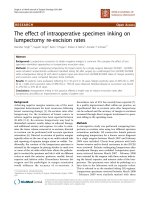 Báo cáo khoa học: 