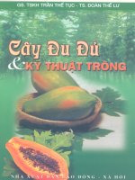 Cây đu đủ và kỹ thuật trồng part 1 ppsx