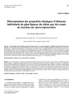 Báo cáo toán học: 