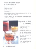 Sổ tay pha chế Cocktail part 9 potx