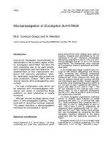 Báo cáo lâm nghiệp: 