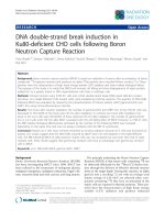 Báo cáo khoa học: 