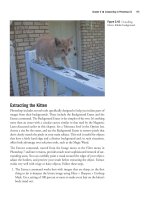 Adobe Photoshop CS2 Photographers’ Guide phần 6 potx