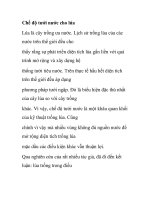 Chế độ tưới nước cho lúa doc