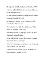 Hô hấp hiếu khí (chu trình Krebs/ chu trình ATC pptx