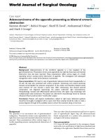 Báo cáo khoa học: 