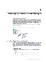 Oracle Reports tutorial phần 3 pps