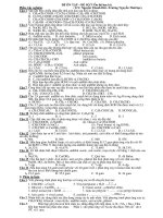 ĐỀ ÔN TẬP – ĐỀ SỐ 7( Ôn thi học kì) pps