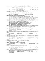 ĐỀ ÔN TẬP HÓA HỌC CƠ BẢN - ĐỀ SỐ 4 doc