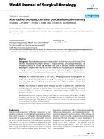 Báo cáo khoa học: 