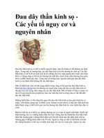 Đau dây thần kinh sọ Các yếu tố nguy cơ và nguyên nhân pptx