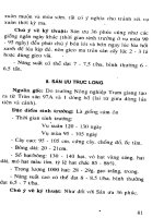 Giống lúa lai Trung Quốc và kỹ thuật gieo trồng part 7 pdf