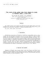 Báo cáo lâm nghiệp: 