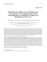 Báo cáo khoa học: 