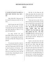 Giáo trình quan hệ kinh tế quốc tế - HIỆP ĐỊNH THƯƠNG MẠI VIỆT MỸ (BẢN 2) potx