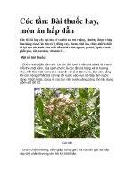Cúc tần: Bài thuốc hay, món ăn hấp dẫn pdf