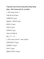 Công thức một số môi trường dinh dưỡng thông dụng pdf