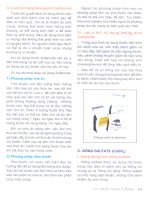 Kỹ thuật nuôi cá rồng part 10 pptx