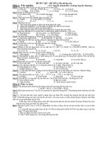 ĐỀ ÔN TẬP – ĐỀ SỐ 4.( Ôn thi học kì) pdf