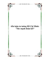 tiểu luận tư tưởng Hồ Chí Minh: 