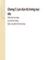 Lựa chọn thị trường mục tiêu