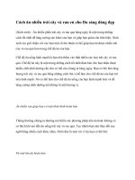 Cách ăn nhiều trái cây và rau củ cho Da sáng dáng đẹp pps