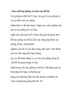 . Sản xuất hạt giống cà chua ưu thế lai C ppsx