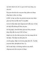 Sự hình thành tiêu thể và quá trình hoạt động của tiêu thể pps