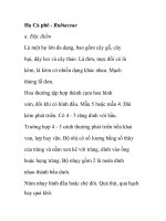 Họ Cà phê - Rubiaceae ppsx