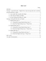 THIẾT KẾ CÁC MAPLET HỖ TRỢ TÍNH TOÁN VÀ MINH HỌA TRONG MÔN HÌNH HỌC VI PHÂN