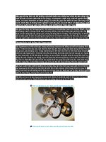 Sâu gạo là loại thức ăn bổ dưỡng và khoái khẩu của nhiều loại chim ăn sâu cũng như một số loài cá cảnh pps