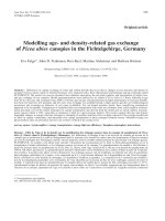 Báo cáo toán học: 