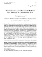 Báo cáo khoa học: 