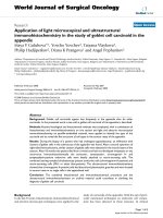 Báo cáo khoa học: 