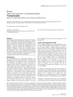 Review Cells of the synovium in rheumatoid arthritis pot