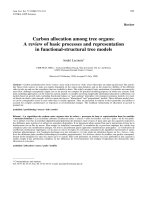 Báo cáo toán học: 